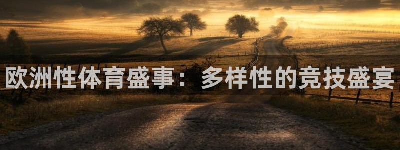 赢点体育直播919体育直播：欧洲性体育盛事：多样性的竞技盛宴
