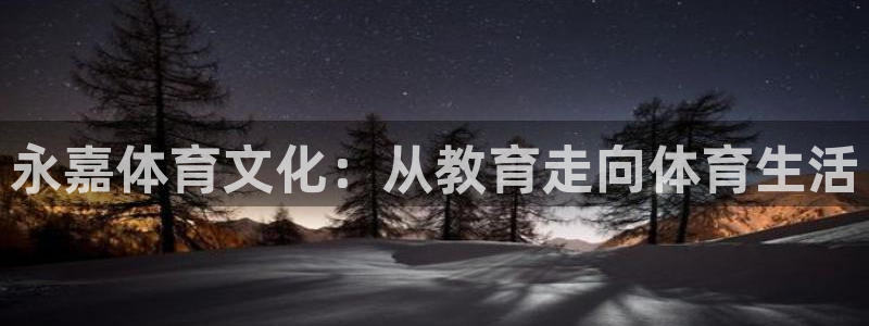 919体育场小区路线