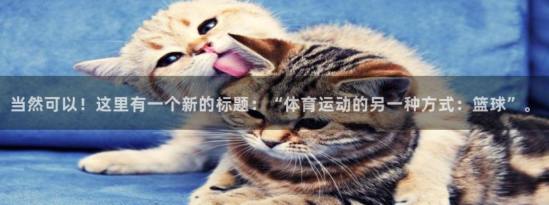919体育在线直播官网：当然可以！这里有一个新的标题：“体育运动的另一种方式：篮球”。