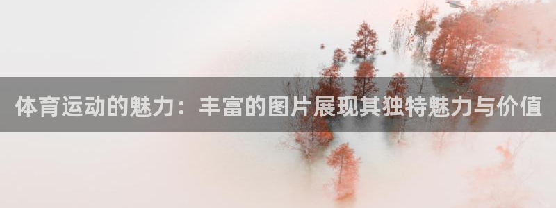919体育有没有网盘