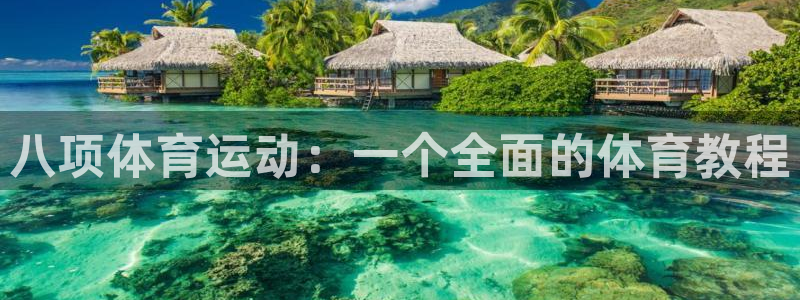 919体育NBA直播苹果版